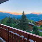 Traversant Secteur Violettes Crans-Montana